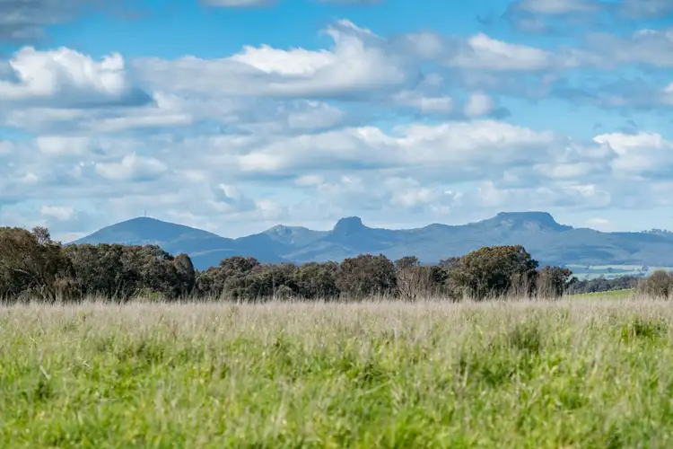Fourth view of Homely rural property listing, 'Part Glenlea'/798 Bethel Road, Glenellen NSW 2642