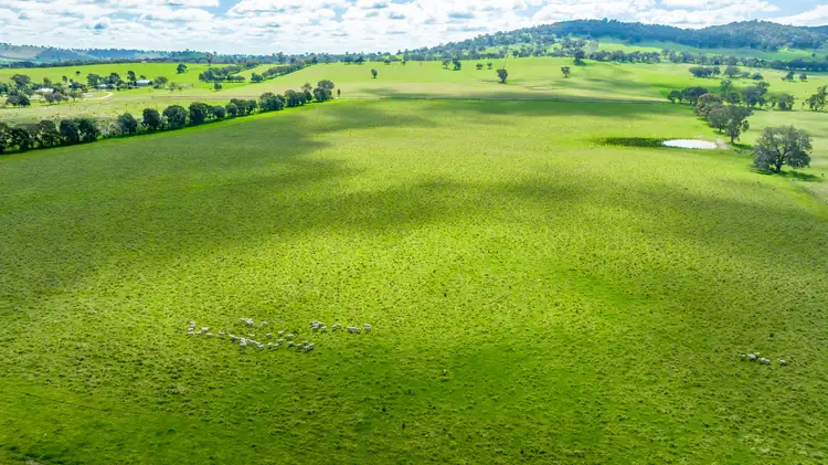Fifth view of Homely rural property listing, 'Part Glenlea'/798 Bethel Road, Glenellen NSW 2642
