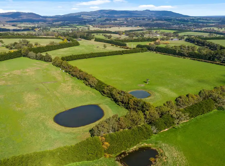 51 Otts Lane, Rochford VIC 3442