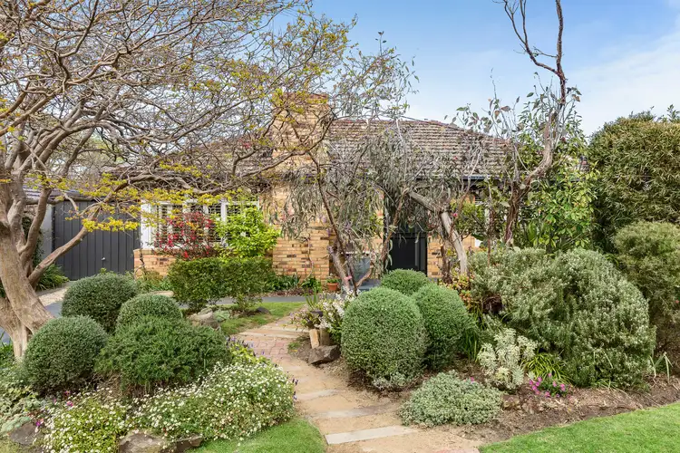 3 Robyn Court, Brighton VIC 3186