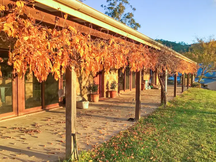 Fifth view of Homely rural property listing, 2121 Paynes Crossing Road, Paynes Crossing NSW 2325