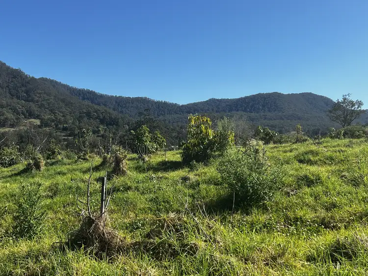 Fifth view of Homely rural property listing, 842 Green Pigeon Road, Kyogle NSW 2474