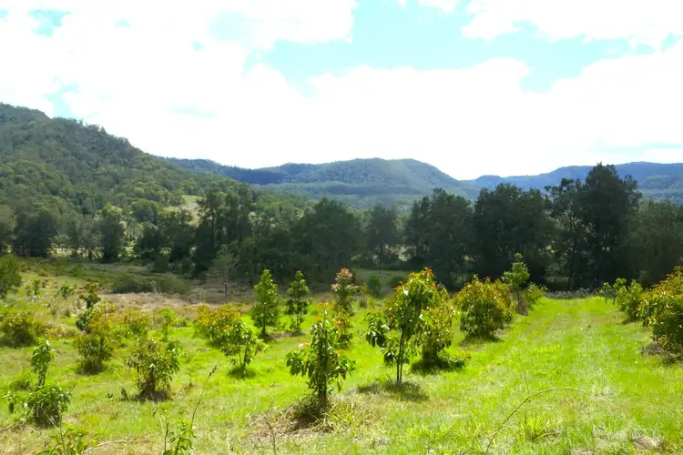 Sixth view of Homely rural property listing, 842 Green Pigeon Road, Kyogle NSW 2474