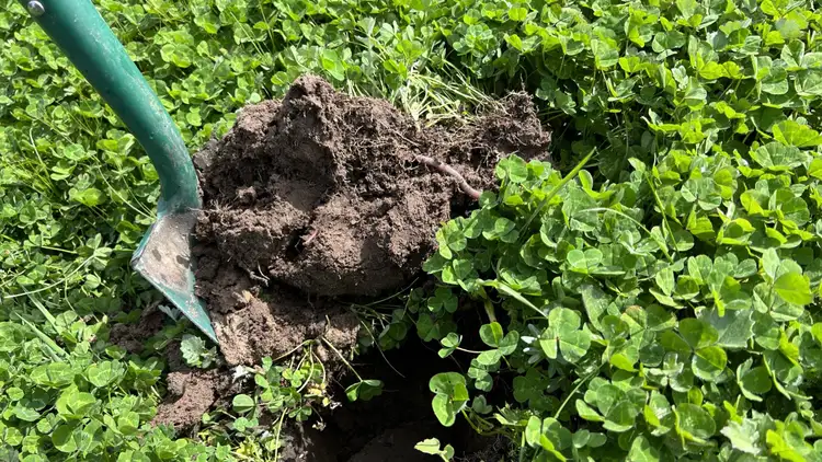 Second view of Homely rural property listing, 7884 Casterton - Apsley Rd, Apsley VIC 3319