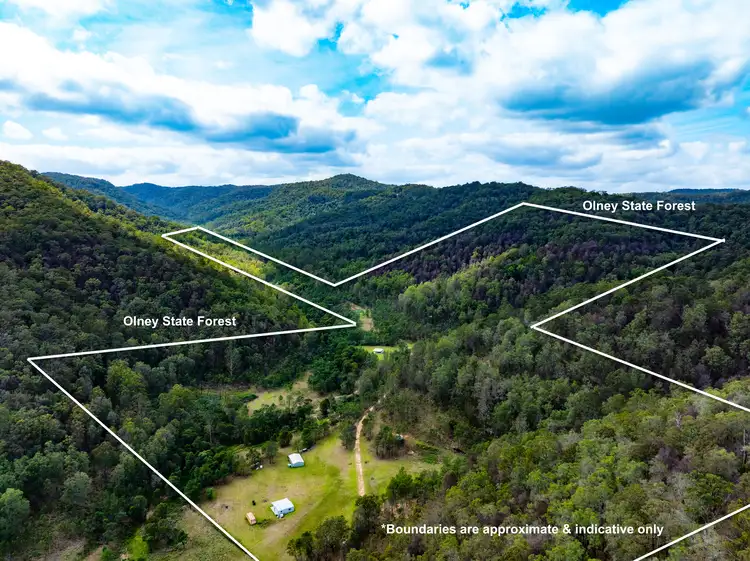 Second view of Homely rural property listing, 336 Olney Arm Road, Laguna NSW 2325