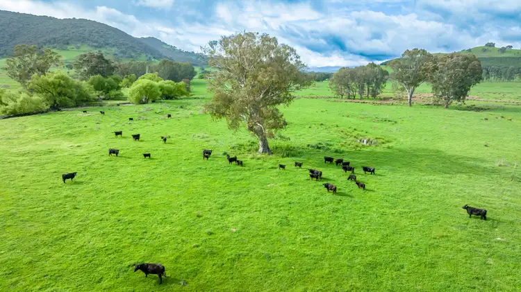 Fourth view of Homely rural property listing, 'Part Moorabinda'/727 Tallangatta Creek Rd, Tallangatta Valley VIC 3701