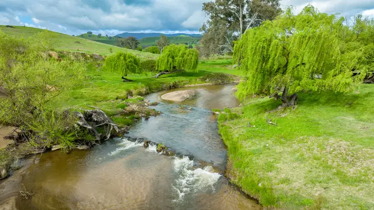 Sixth view of Homely rural property listing, 'Part Moorabinda'/727 Tallangatta Creek Rd, Tallangatta Valley VIC 3701