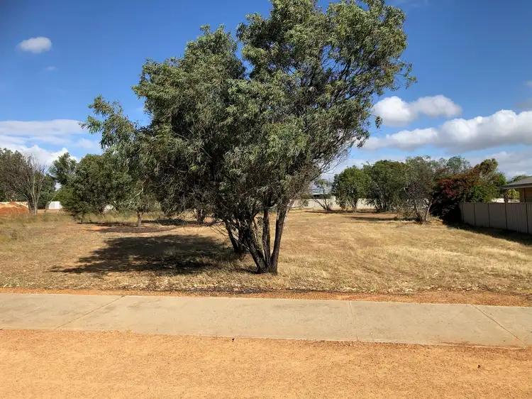 Main view of Homely land listing, 23 Bowen Street, Goomalling WA 6460