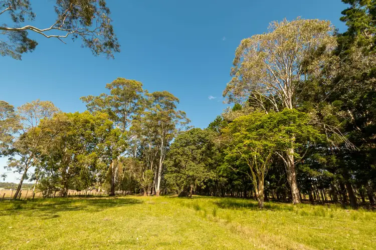 Third view of Homely house listing, 3 Poinciana St, Mullumbimby NSW 2482