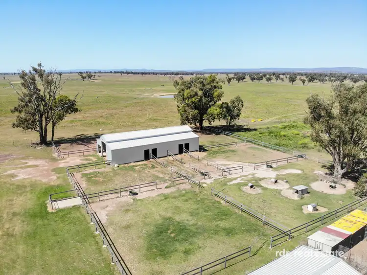 Third view of Homely rural property listing, 82 Tienga Road, Bundarra NSW 2359