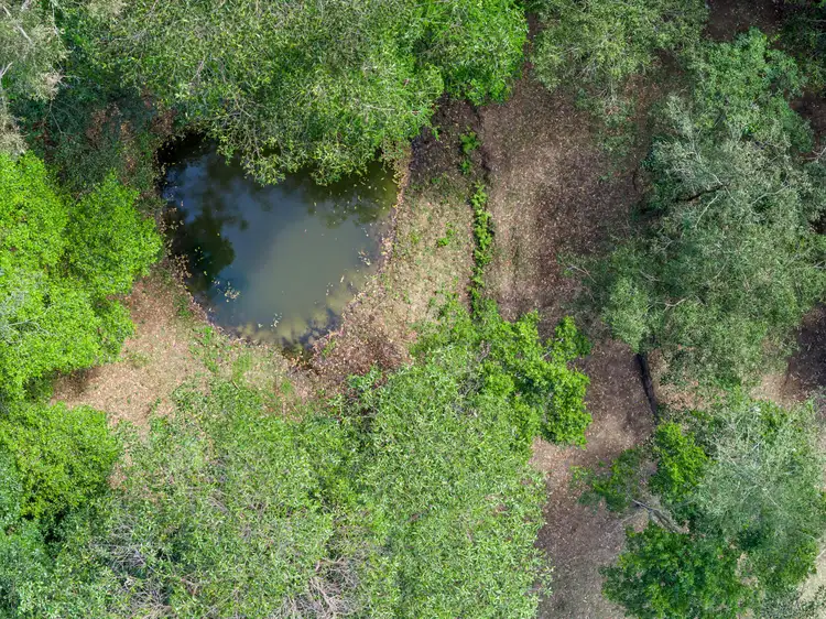 Fourth view of Homely rural property listing, 116 Newtons Rd, Kyogle NSW 2474