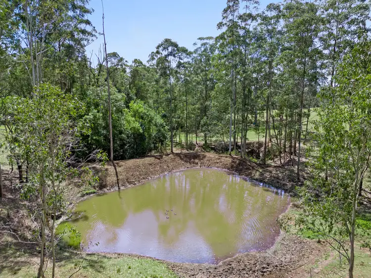 Seventh view of Homely rural property listing, 116 Newtons Rd, Kyogle NSW 2474