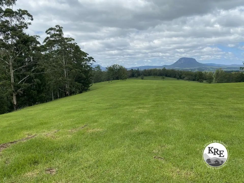 Main view of Homely rural property listing, 14072 Mount Lindesay Hwy, Woodenbong NSW 2476