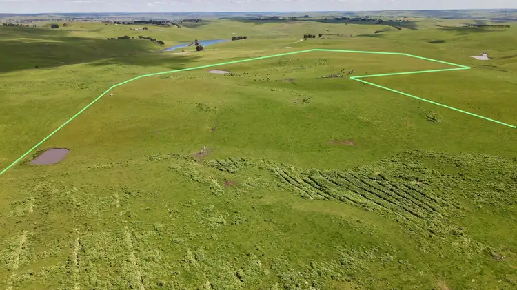 Main view of Homely rural property listing, 541 Paschendale Road, Henty VIC 3312