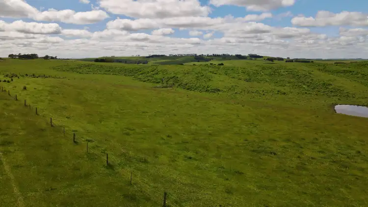 Seventh view of Homely rural property listing, 541 Paschendale Road, Henty VIC 3312