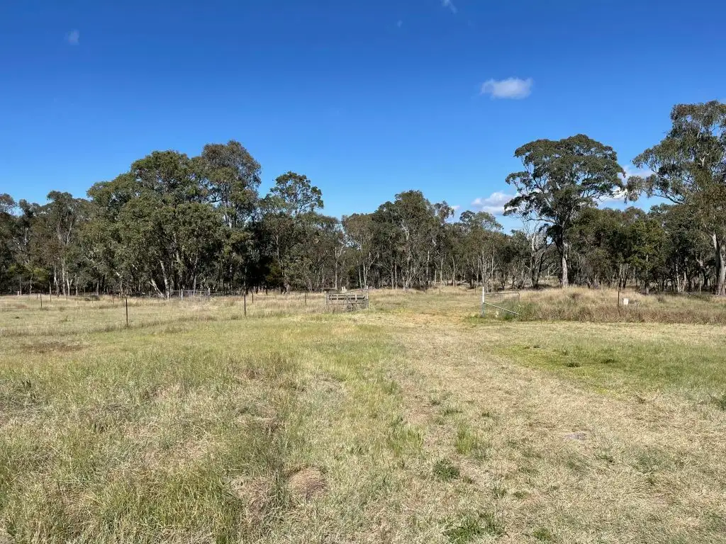 Main view of Homely house listing, 62 Rogers Rd, Applethorpe QLD 4378