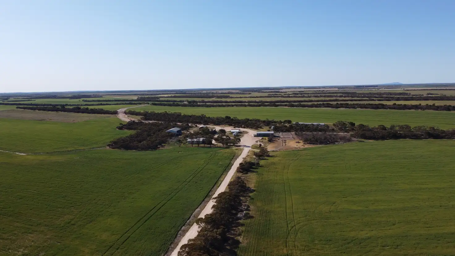 Main view of Homely rural property listing, 2351 Murdinga-Murlong Rd, Murlong SA 5642