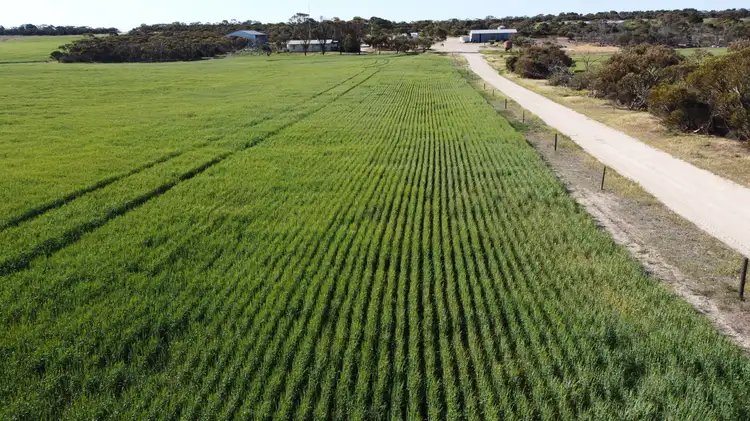 Second view of Homely rural property listing, 2351 Murdinga-Murlong Rd, Murlong SA 5642