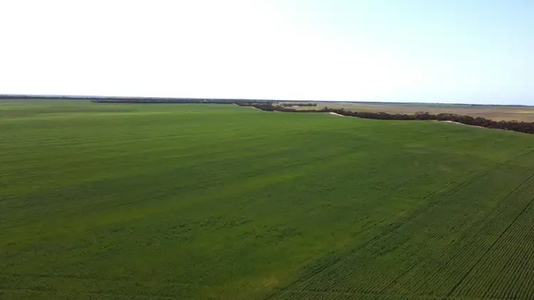 Third view of Homely rural property listing, 2351 Murdinga-Murlong Rd, Murlong SA 5642