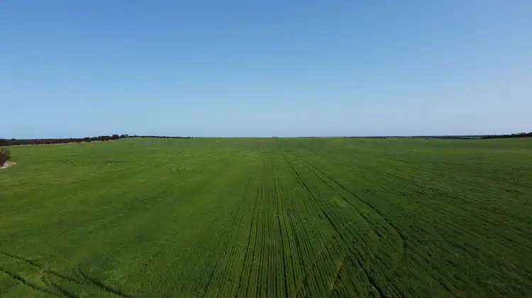 Fourth view of Homely rural property listing, 2351 Murdinga-Murlong Rd, Murlong SA 5642