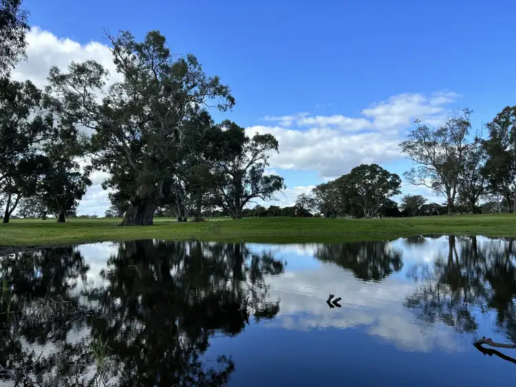 Fourth view of Homely rural property listing, 210 Butterworths Rd, Benayeo VIC 3319