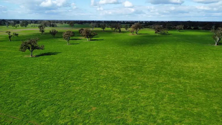 Seventh view of Homely rural property listing, 210 Butterworths Rd, Benayeo VIC 3319