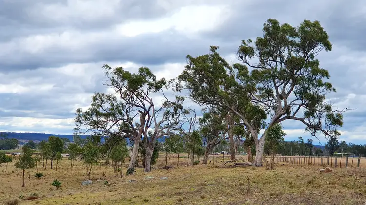 Seventh view of Homely rural property listing, 15208 Cunningham Hwy, Wheatvale QLD 4370