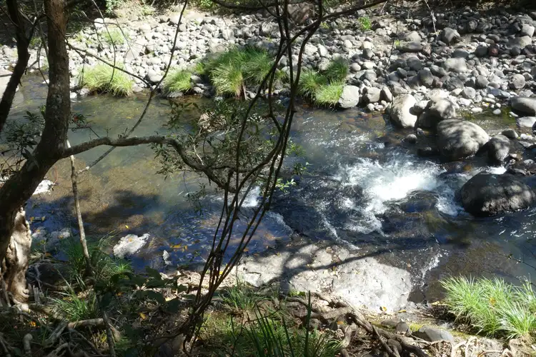 Second view of Homely land listing, 1262 Lynches Creek Rd, Kyogle NSW 2474