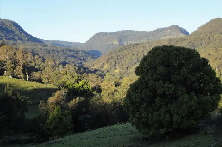 Sixth view of Homely land listing, 1262 Lynches Creek Rd, Kyogle NSW 2474