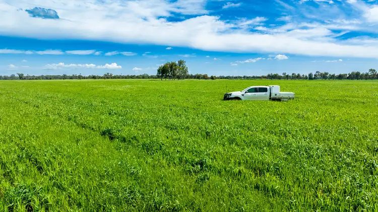 Main view of Homely rural property listing, 'Arden Vale' Walbundrie Road, Walla Walla NSW 2659