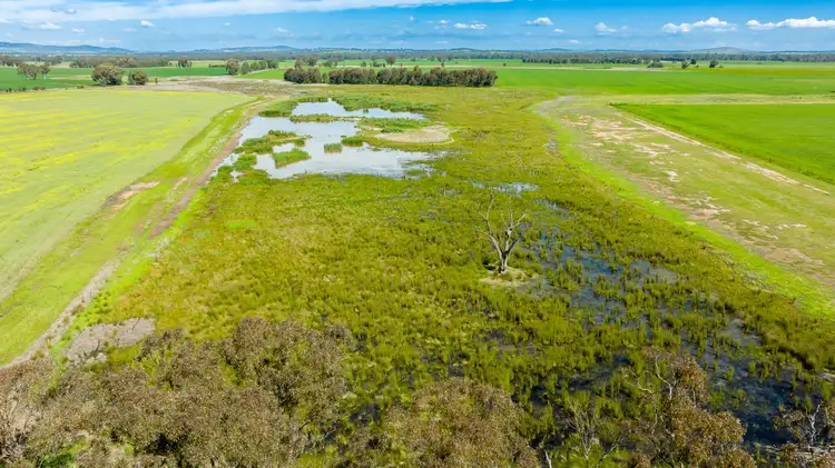 Sixth view of Homely rural property listing, 'Arden Vale' Walbundrie Road, Walla Walla NSW 2659