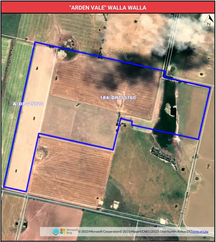 Seventh view of Homely rural property listing, 'Arden Vale' Walbundrie Road, Walla Walla NSW 2659