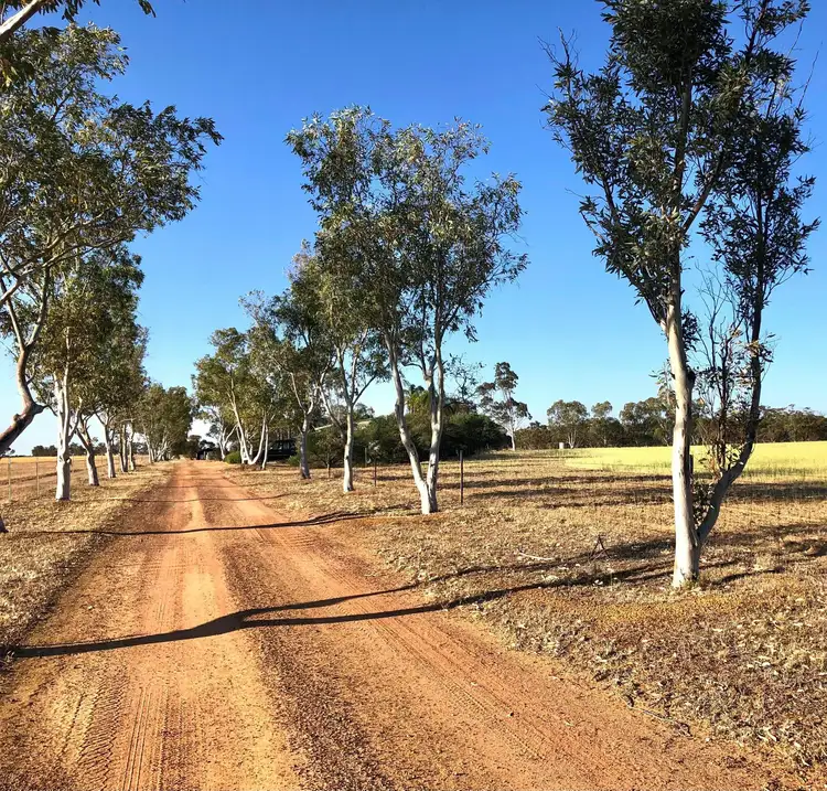 Fourth view of Homely house listing, 101 Metcalf St, Dowerin WA 6461