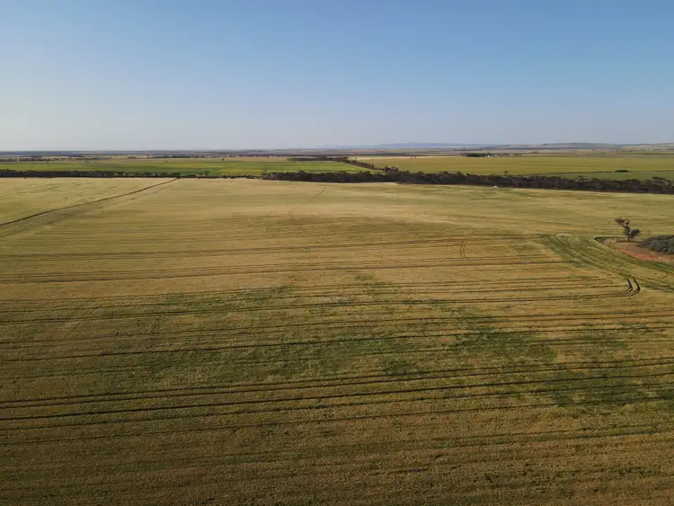 Fifth view of Homely rural property listing, 'BLACKS' Mundoora Road, Port Broughton SA 5522