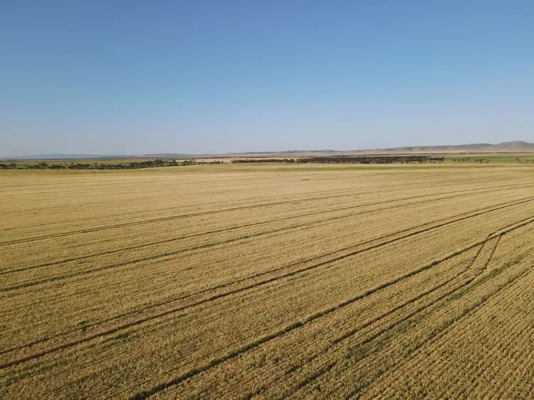 Sixth view of Homely rural property listing, 'BLACKS' Mundoora Road, Port Broughton SA 5522