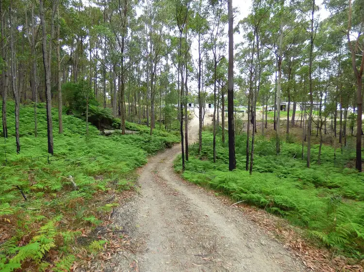 Second view of Homely rural property listing, 72 Kiaka Rd, Nethercote NSW 2549