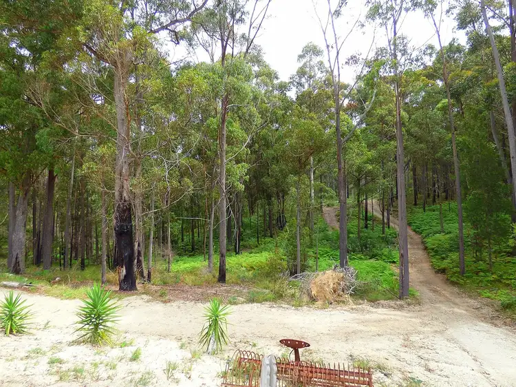 Fifth view of Homely rural property listing, 72 Kiaka Rd, Nethercote NSW 2549