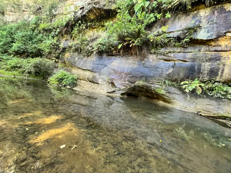 Fourth view of Homely rural property listing, 1465 Afterlee Rd, Kyogle NSW 2474