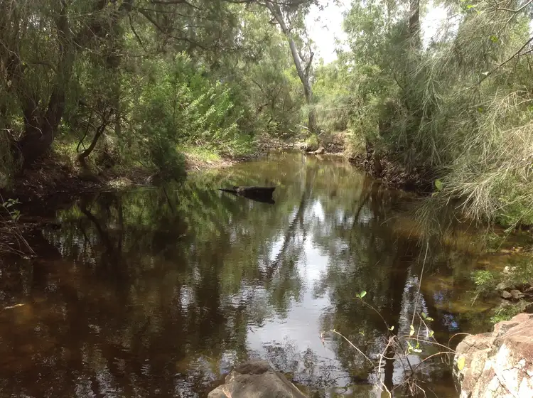 Sixth view of Homely rural property listing, 77 Vass Rd, Etna Creek QLD 4702