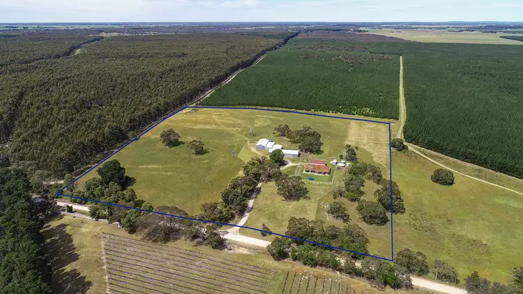 Main view of Homely rural property listing, 544 V&A Lane, Wattle Range East SA 5279