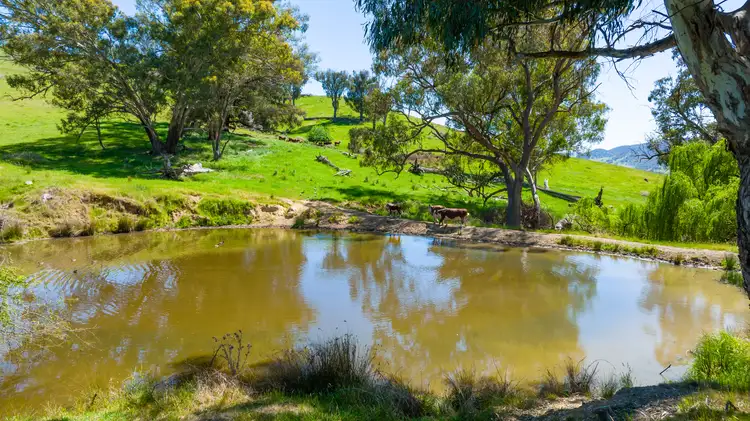 Part 430 Sandy Creek Road, Sandy Creek VIC 3695