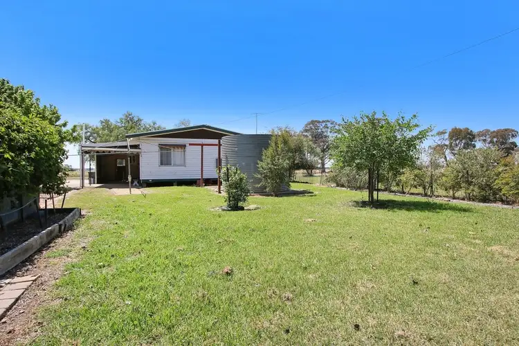 Main view of Homely house listing, 6561 Mahonga Rd, Rand NSW 2642