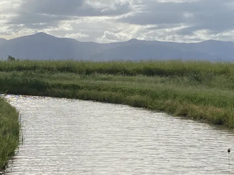 Third view of Homely rural property listing, 32768 Bruce Hwy, Horseshoe Lagoon QLD 4809