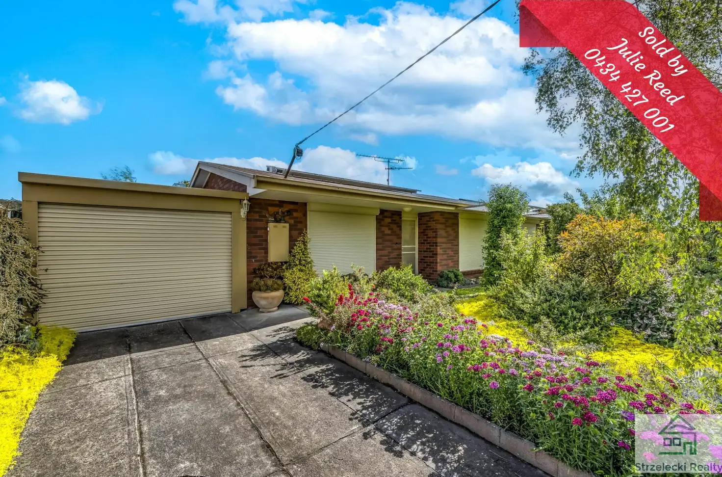 Main view of Homely house listing, 3 Randall Cres, Moe VIC 3825