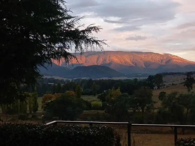 Second view of Homely rural property listing, 446 Merriang South Rd, Myrtleford VIC 3737