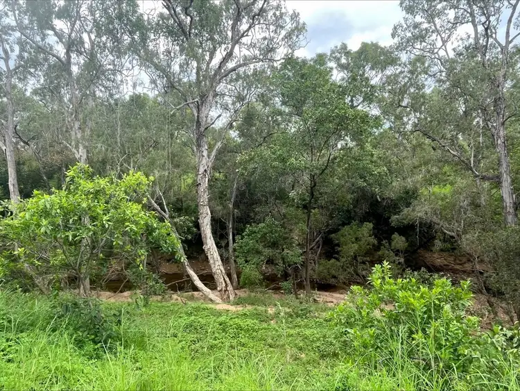 Main view of Homely rural property listing, Lot 22 Peninsula Developmental Rd., Lakeland QLD 4871