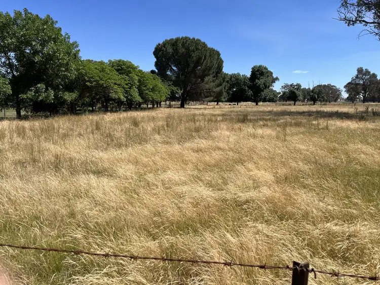 Lot 80 Balfour Street, Culcairn NSW 2660