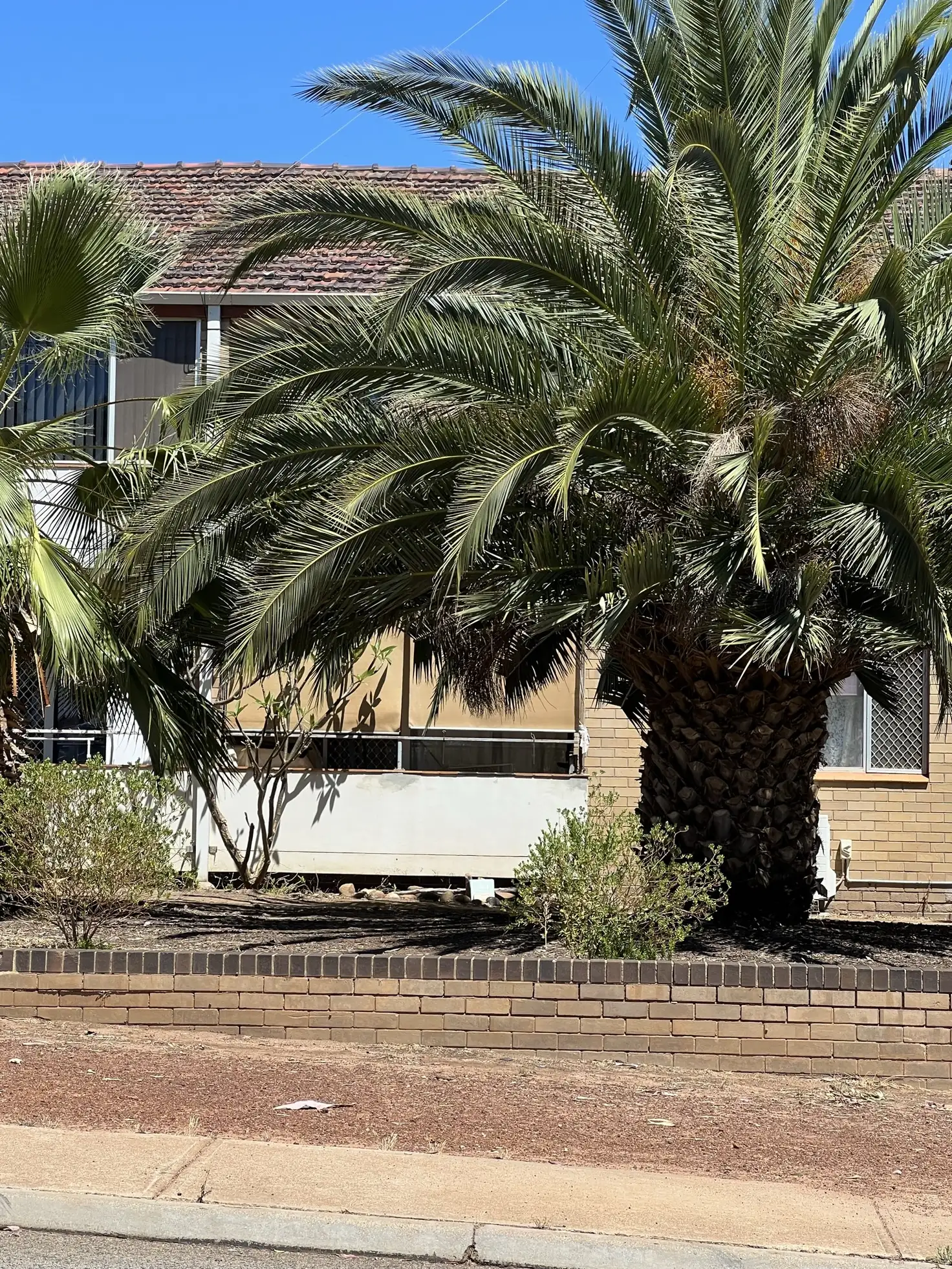 Main view of Homely unit listing, Unit 3/16 Chidlow St E, Northam WA 6401