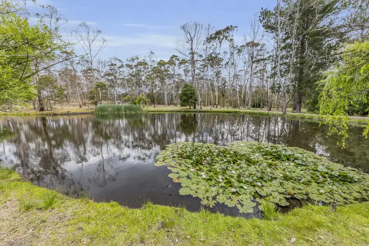 3612 Towamba Rd, Burragate NSW 2550
