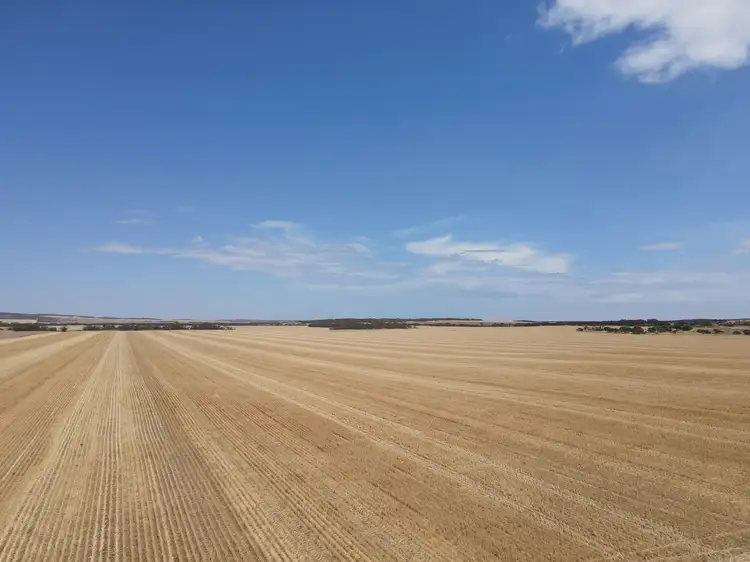 Main view of Homely rural property listing, 'Raysons' Section 1 & 28 Eyre Highway, Solomon SA 5641